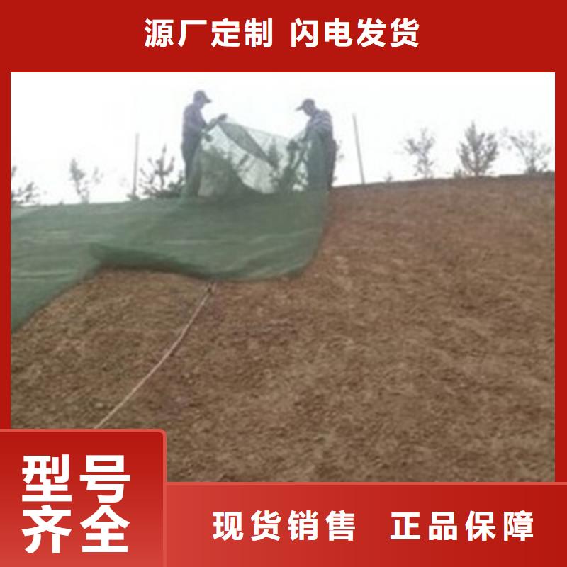 三維植被網鋼塑土工格柵品質不將就