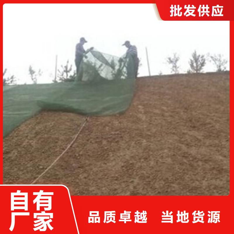 【三维植被网】膨润土防水毯工厂直销