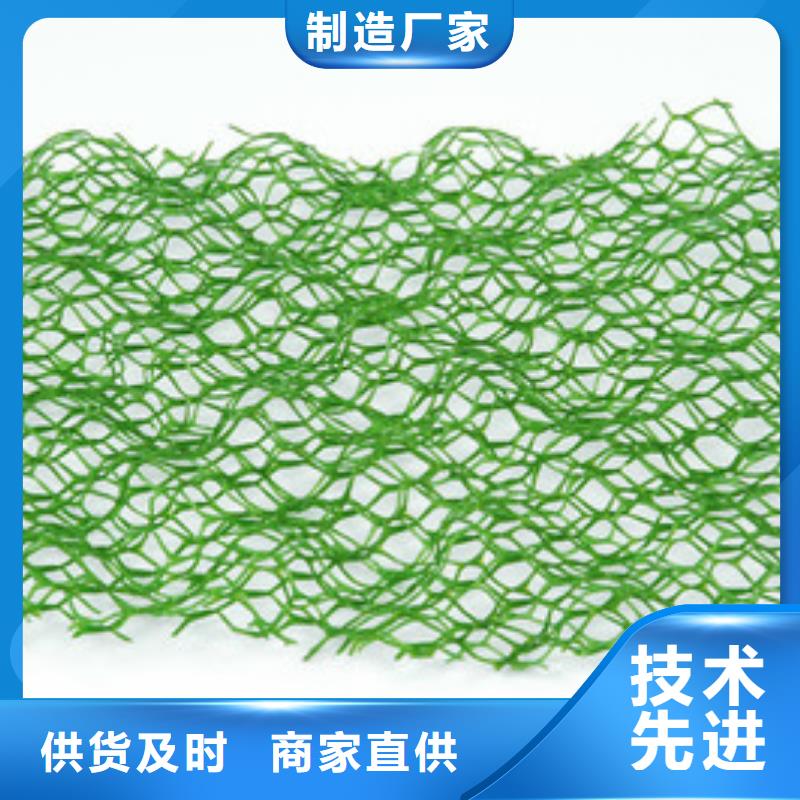 三維植被網短絲土工布庫存量大