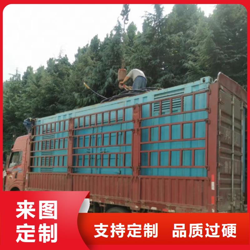 大型發(fā)電車租賃電話高壓發(fā)電車租賃公司臨時(shí)用電 專業(yè)保電