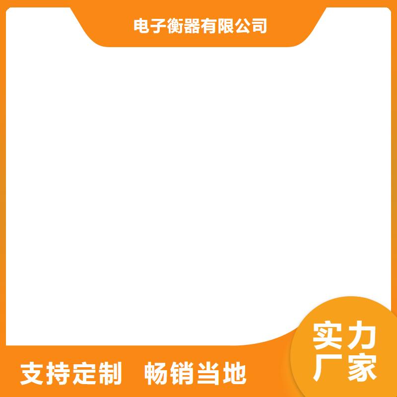工地洗轮机电子吊磅优势