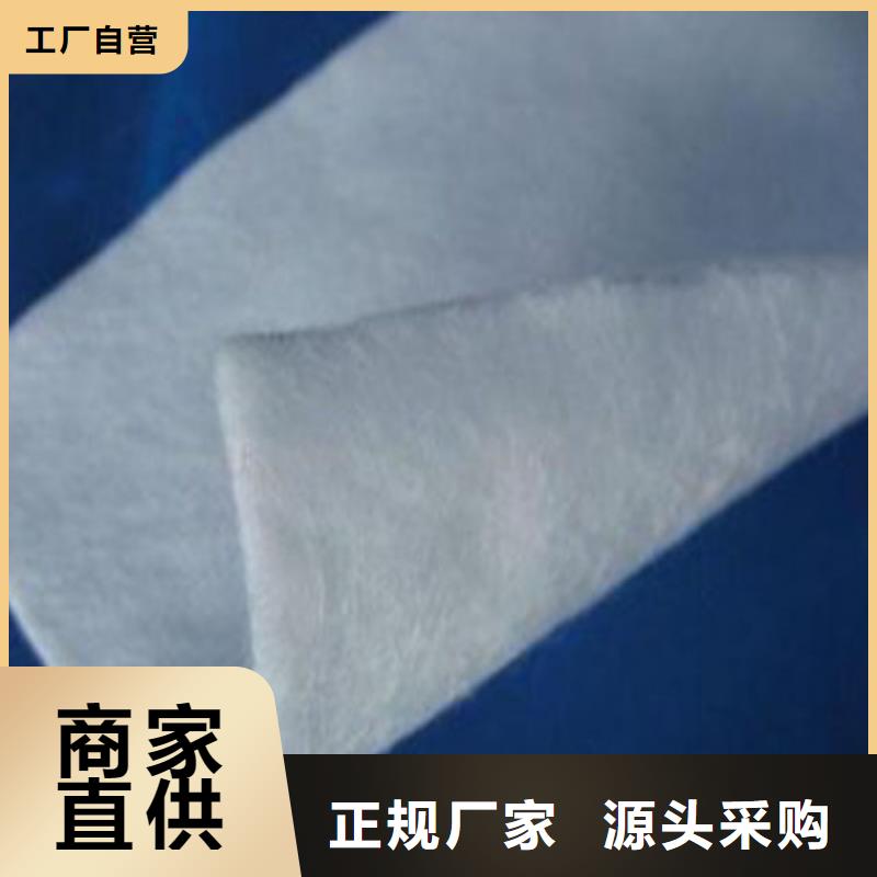 土工布-【鋼塑土工格柵】專注細(xì)節(jié)專注品質(zhì)