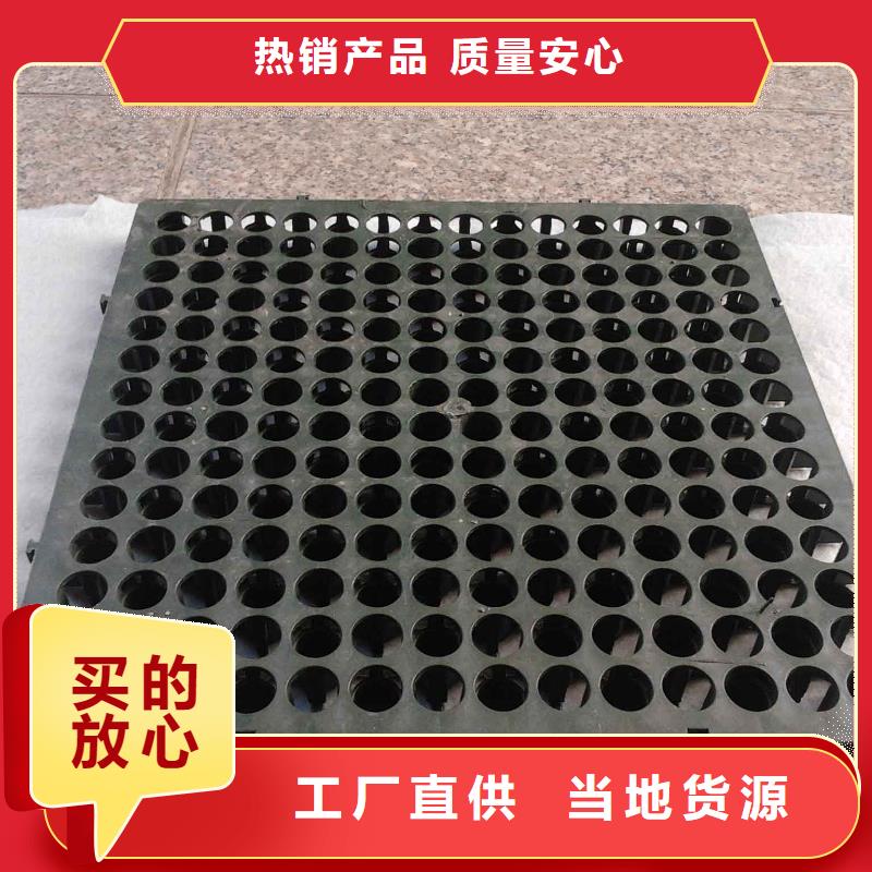 蓄排水板复合土工膜货品齐全