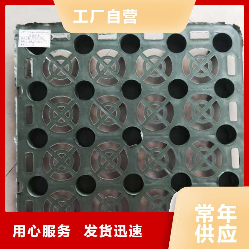 【蓄排水板涤纶土工格栅品类齐全】