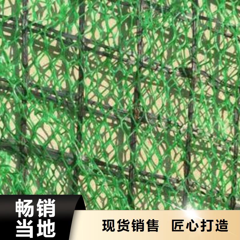 三維植被網,凸結點鋼塑土工格柵嚴謹工藝