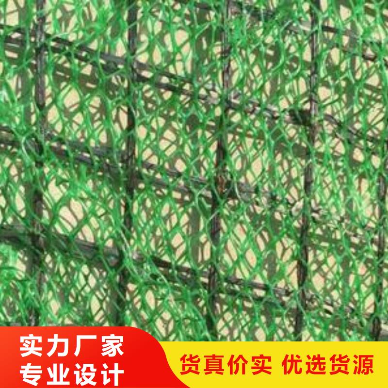 三維植被網【雙向塑料土工格柵】現貨供應