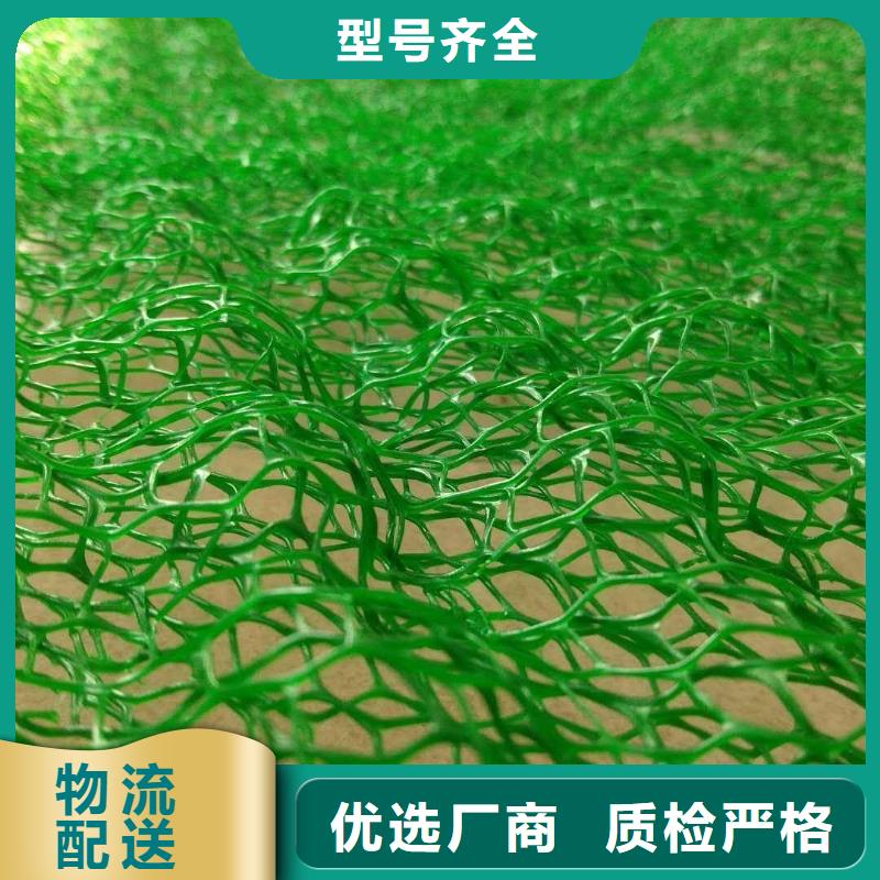 【三維植被網,雙向拉伸土工格柵庫存量大】