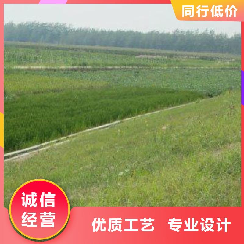 三維植被網_凸結點鋼塑土工格柵專注質量