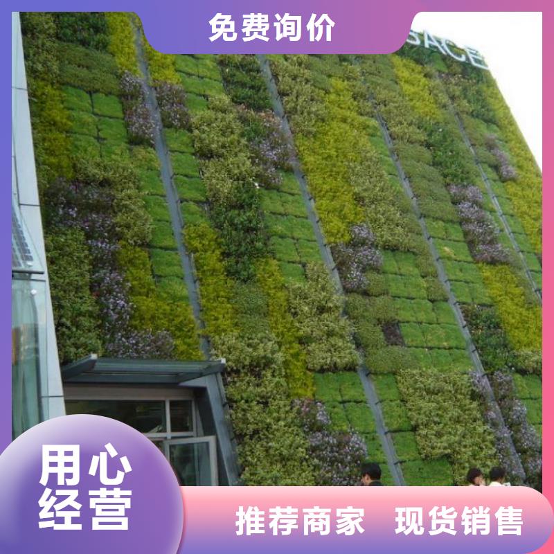 三維植被網滌綸土工格柵源廠直接供貨