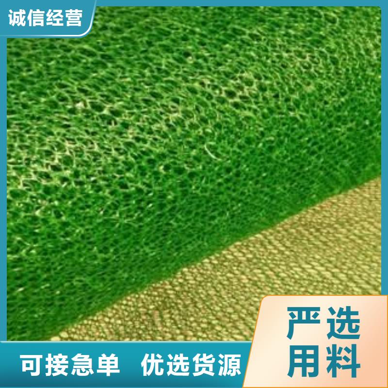 三維植被網【雙向塑料土工格柵】現貨供應