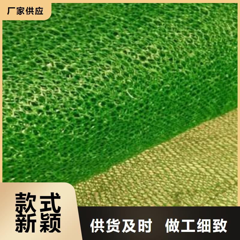 三維植被網(wǎng)鋼塑土工格柵一件也發(fā)貨