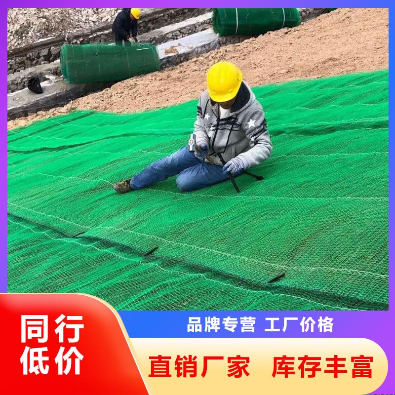 三维植被网钢塑土工格栅行业优选