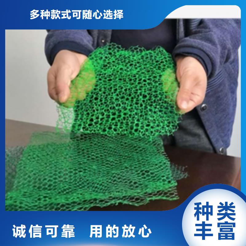 三维植被网_膨润土防水毯供货及时
