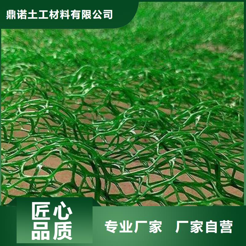 三维植被网短丝土工布品质商家