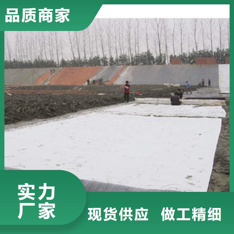 膨润土防水毯双向塑料土工格栅现货满足大量采购