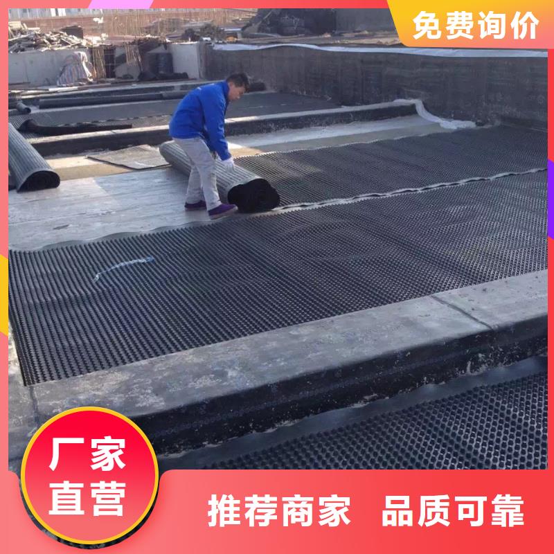 塑料排水板单向塑料土工格栅一周内发货