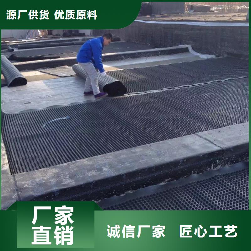 【塑料排水板滌綸土工格柵廠家直銷】