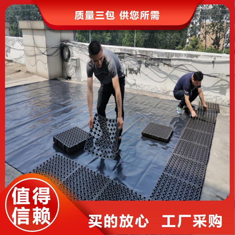 塑料排水板防水土工布廠家好品質(zhì)經(jīng)得住考驗