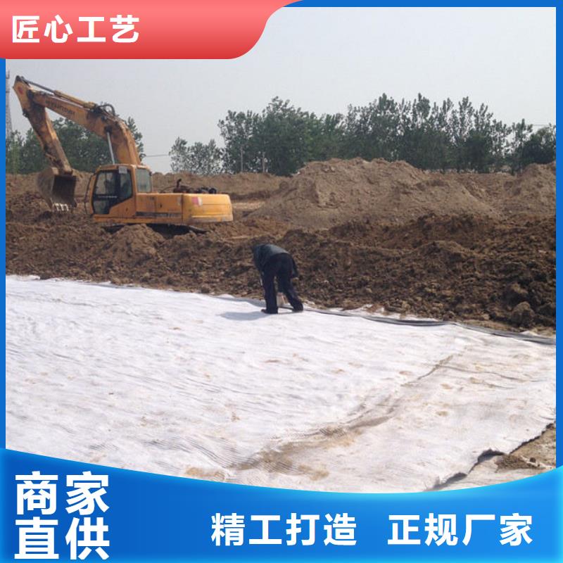 防水毯-三維水土保護毯好品質經得住考驗