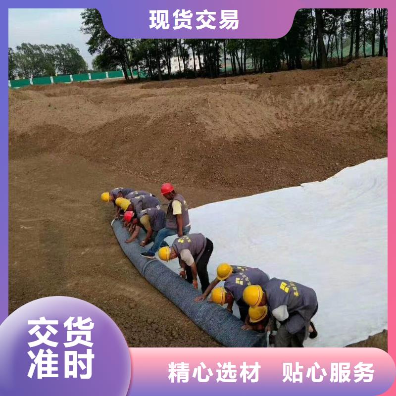 【防水毯】長絲無紡土工布廠家直銷值得選擇