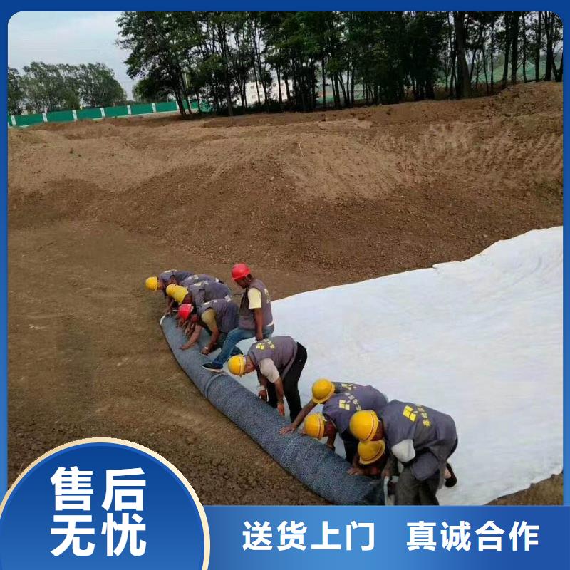 【防水毯護坡土工網廠家供應】