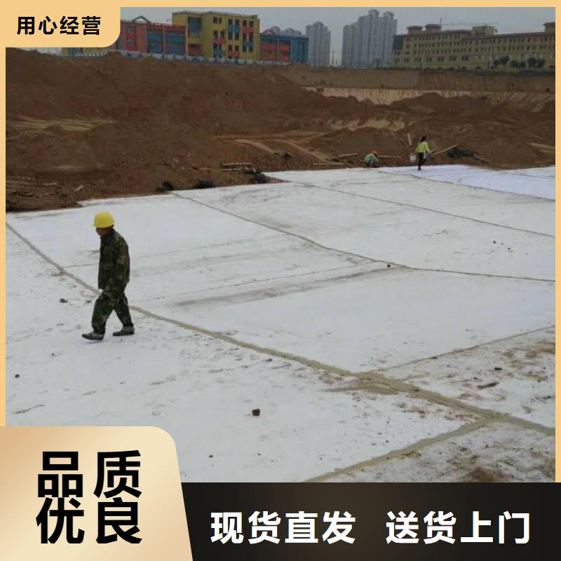 防水毯單向塑料土工格柵一站式采購商家