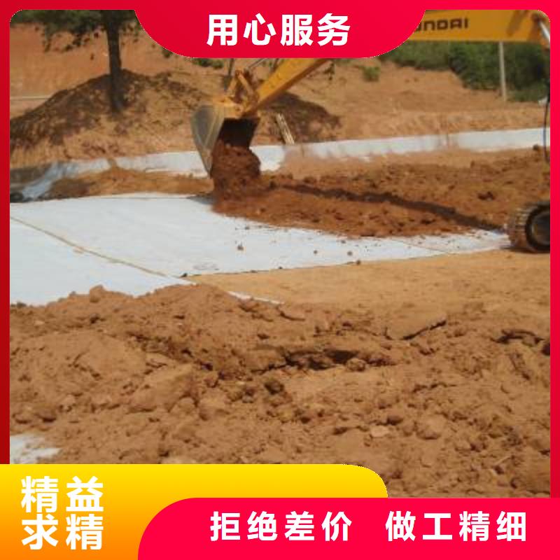 防水毯_护坡土工网符合行业标准