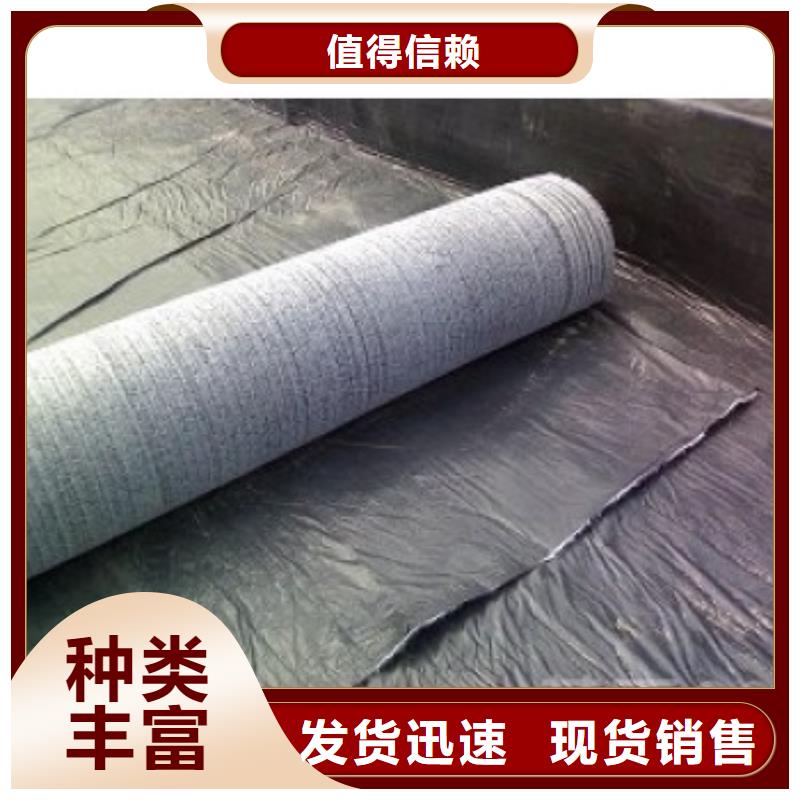 防水毯-土工膜专业按需定制