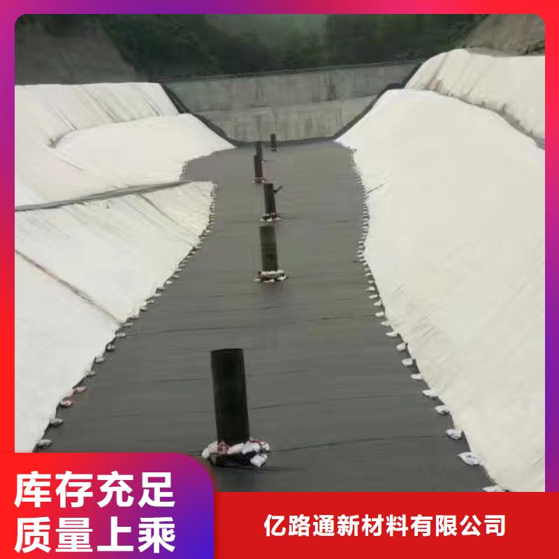 土工膜【玻纖土工格柵】專注產品質量與服務