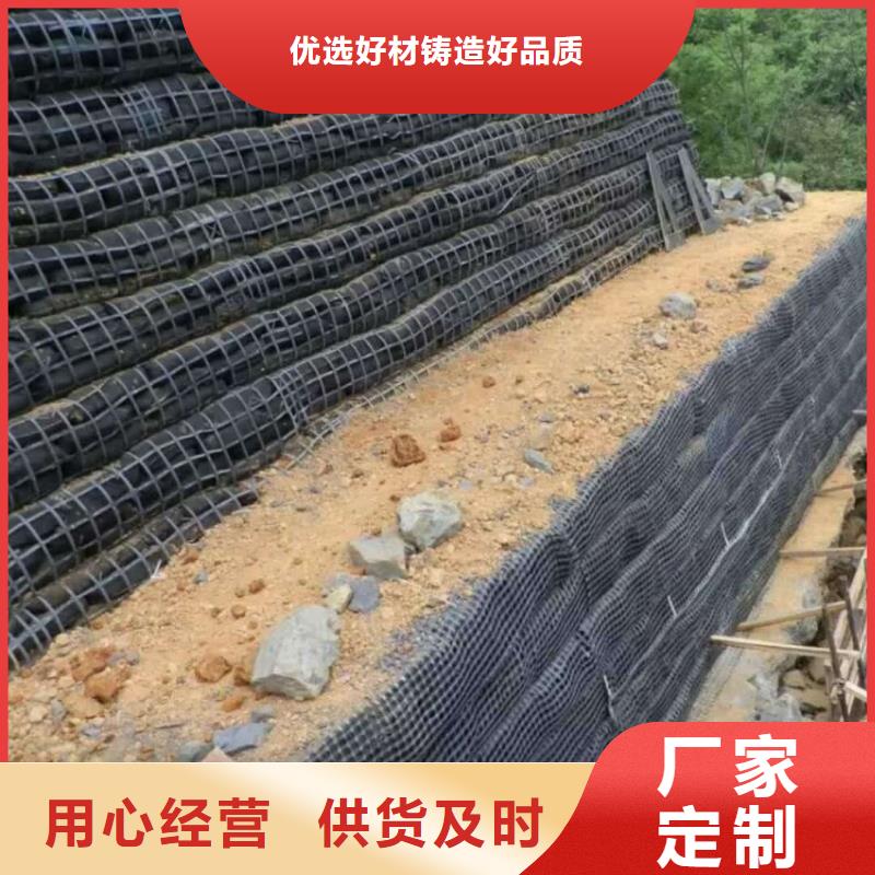 土工格柵鋼塑土工格柵廠家質優價廉