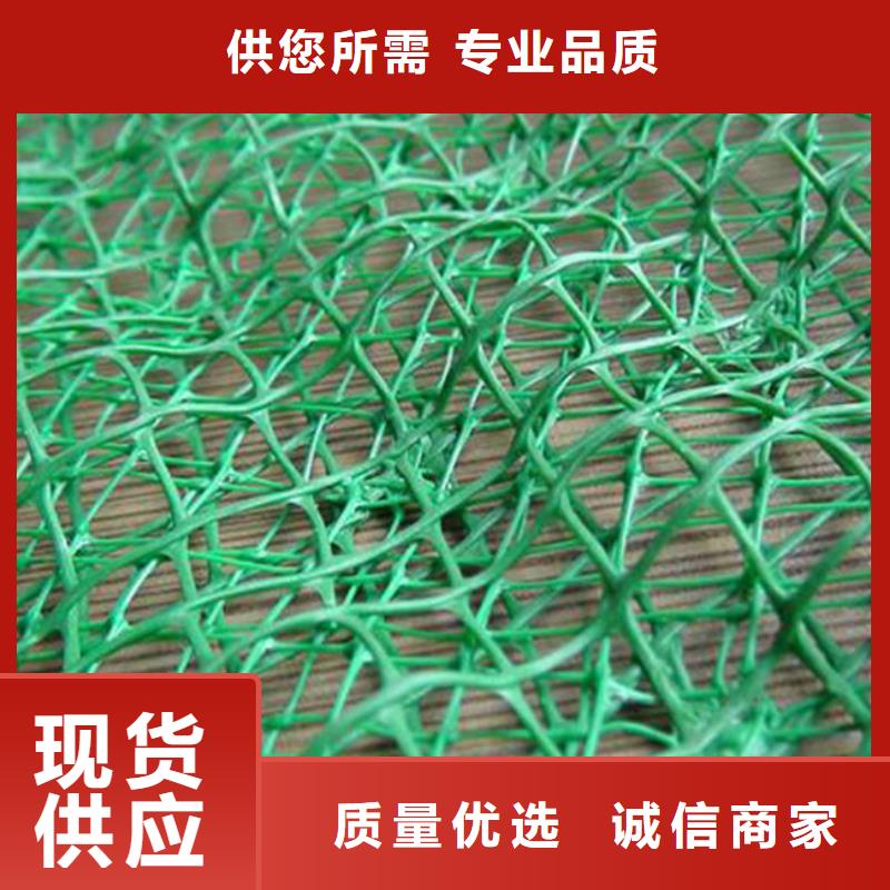 三維植被網(wǎng)土工格室優(yōu)質(zhì)貨源