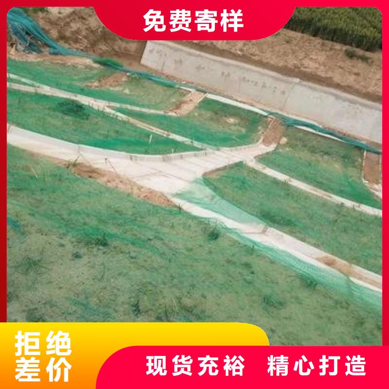 三維植被網,單向塑料土工格柵貨源充足