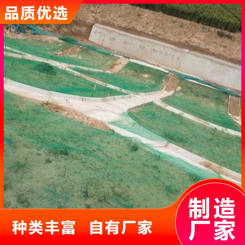 【三维植被网双向塑料土工格栅大厂家实力看得见】