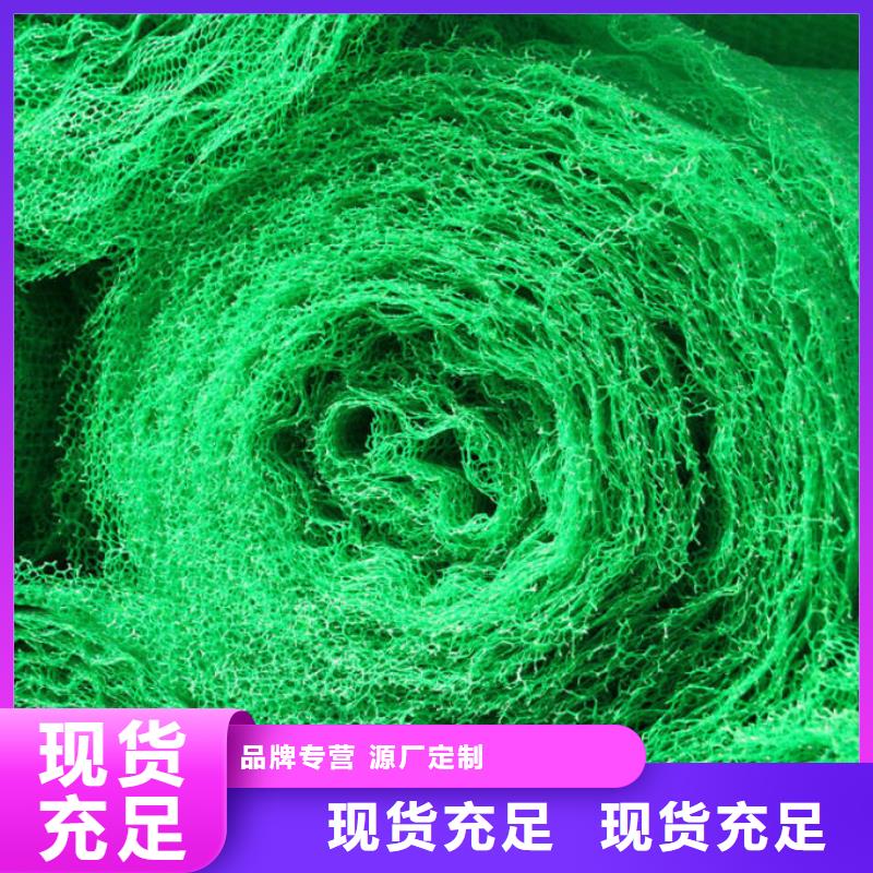 三維植被網(wǎng),玻纖土工格柵產(chǎn)地直銷