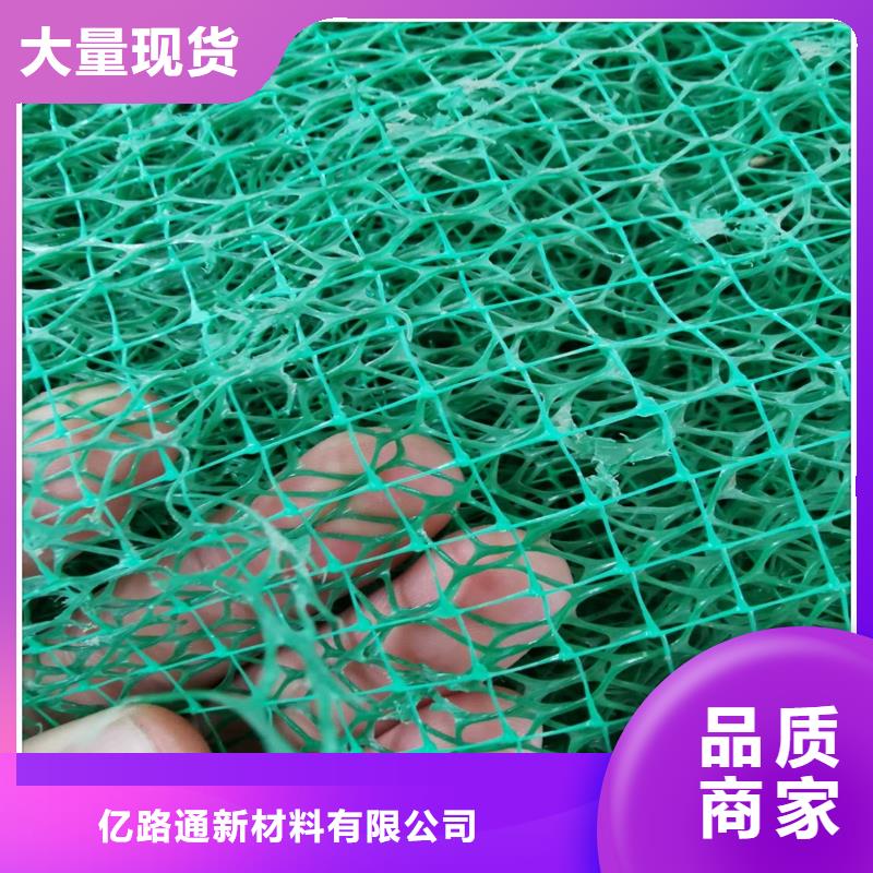 三維植被網_【三維土工網墊】價格公道合理