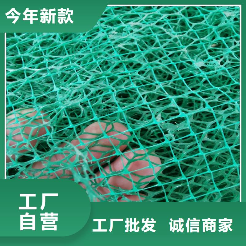 三維植被網三維土工網墊廠家直銷大量現貨