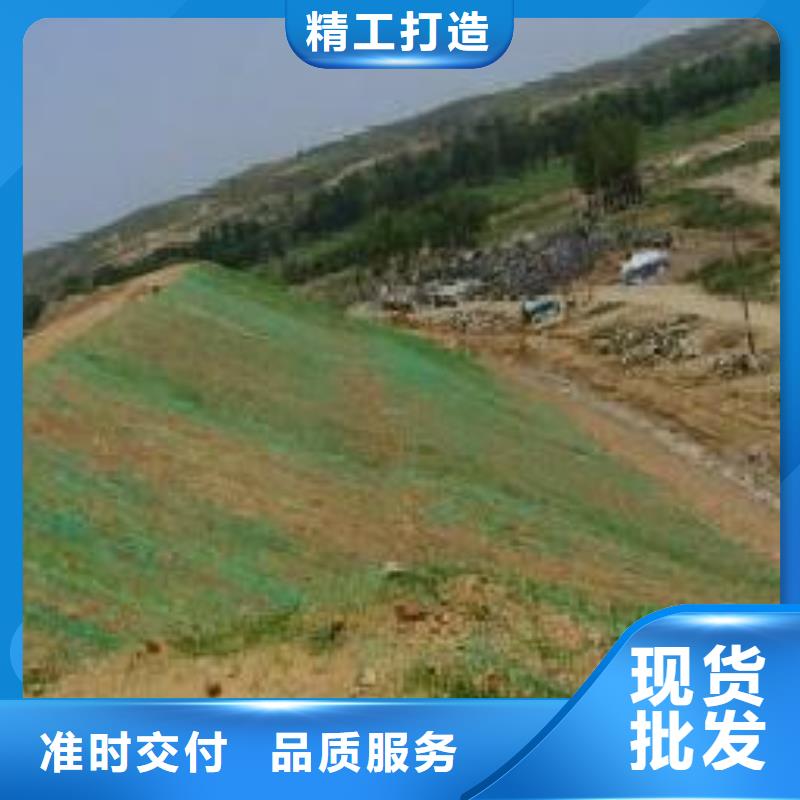 三維植被網雙向塑料土工格柵根據要求定制