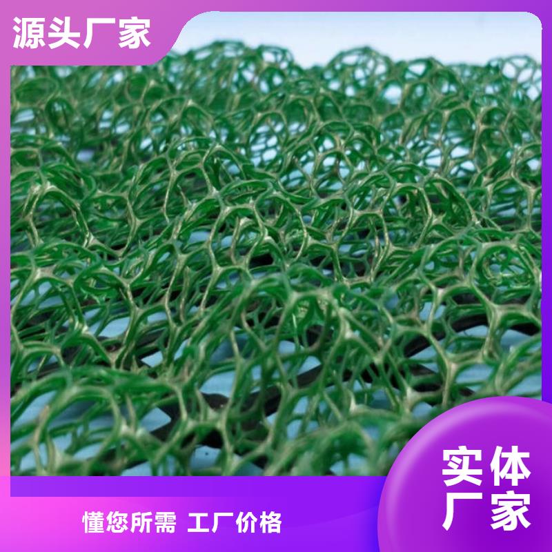 三維植被網(wǎng)膨潤土防水墊生產(chǎn)廠家