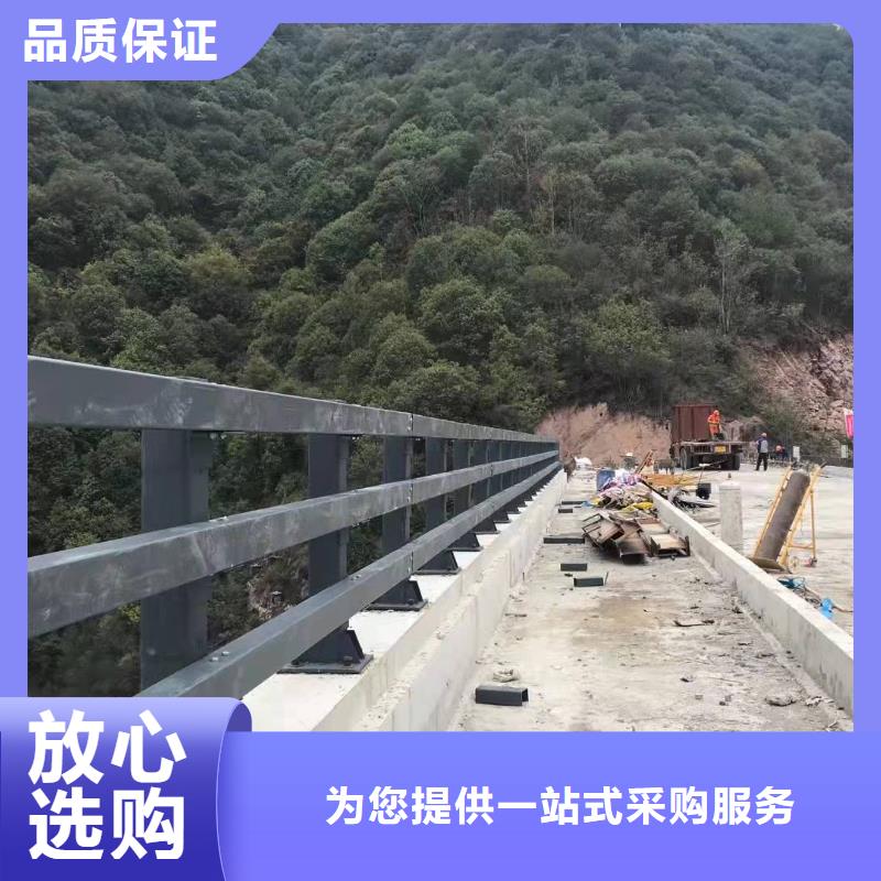 防撞护栏道路防撞护栏专业的生产厂家