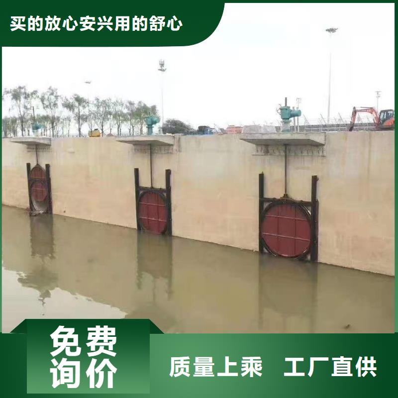 优选：水库铸铁闸门基地