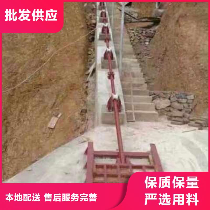 水電站鑄鐵閘門廠家直銷