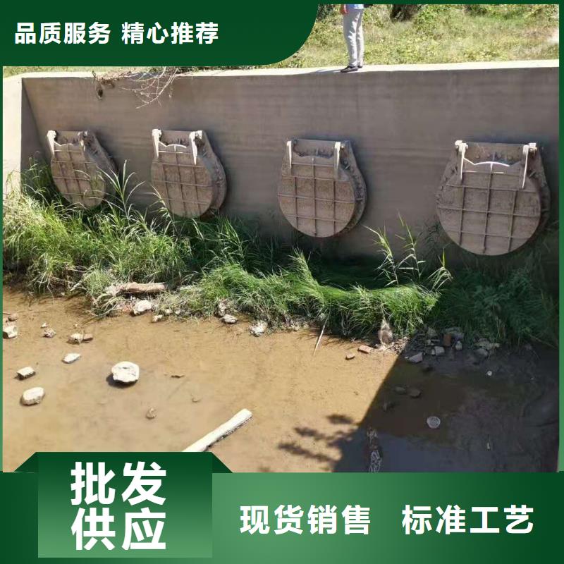 水庫鑄鐵閘門工廠直銷