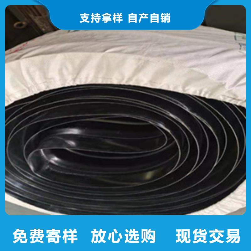 志丹橡膠止水帶400*6不跑偏歡迎致電