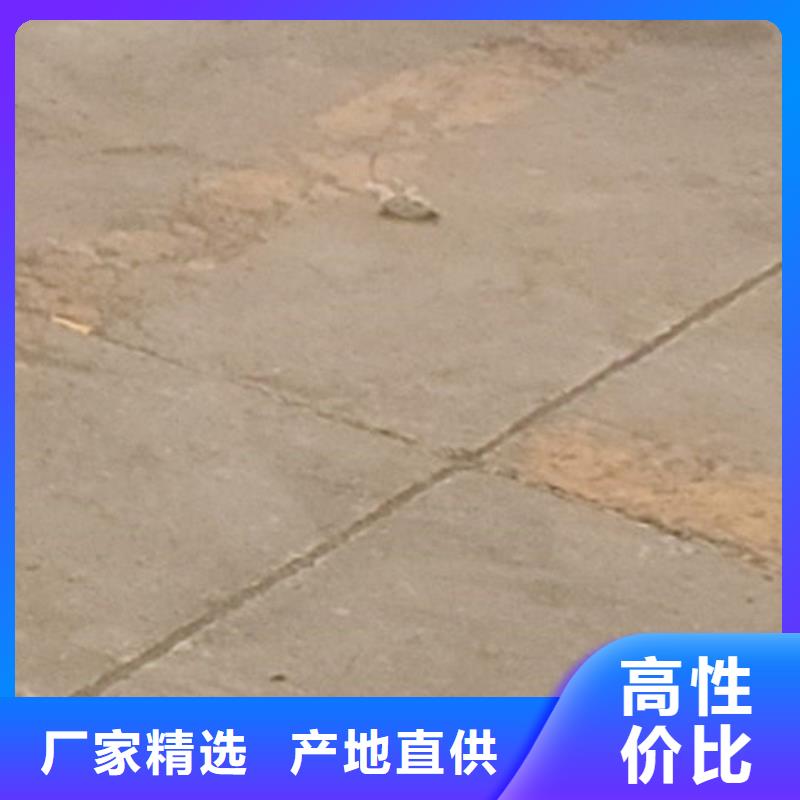 护栏道路隔离栏多种规格供您选择