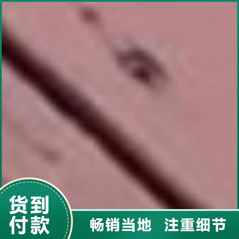 销售防撞不锈钢复合管护栏_诚信企业