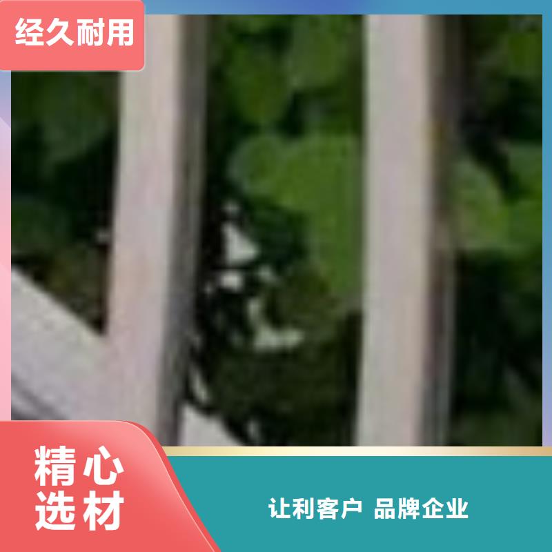 护栏人车分流栏厂家直销