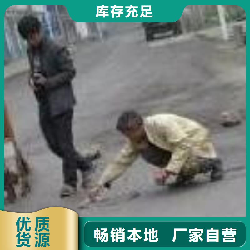 混凝土道路修補廠家地址