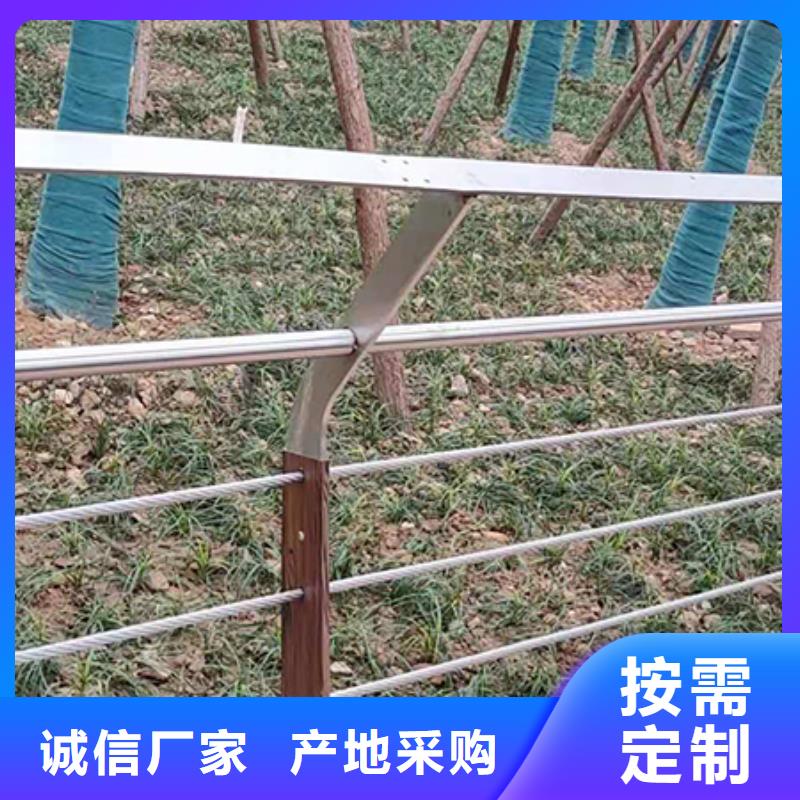 钢丝绳护栏灯光护栏优质工艺