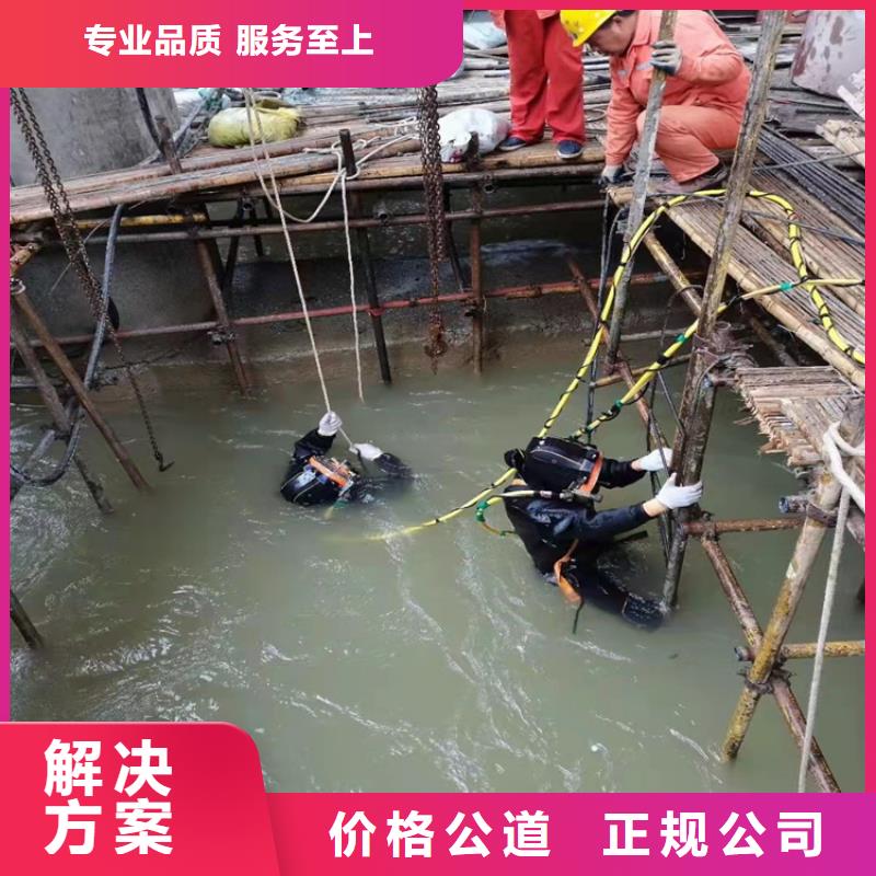 水下作業(yè)水下救援機(jī)器人靠譜商家