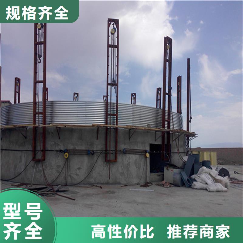 立式裝配鋼板倉多年老廠